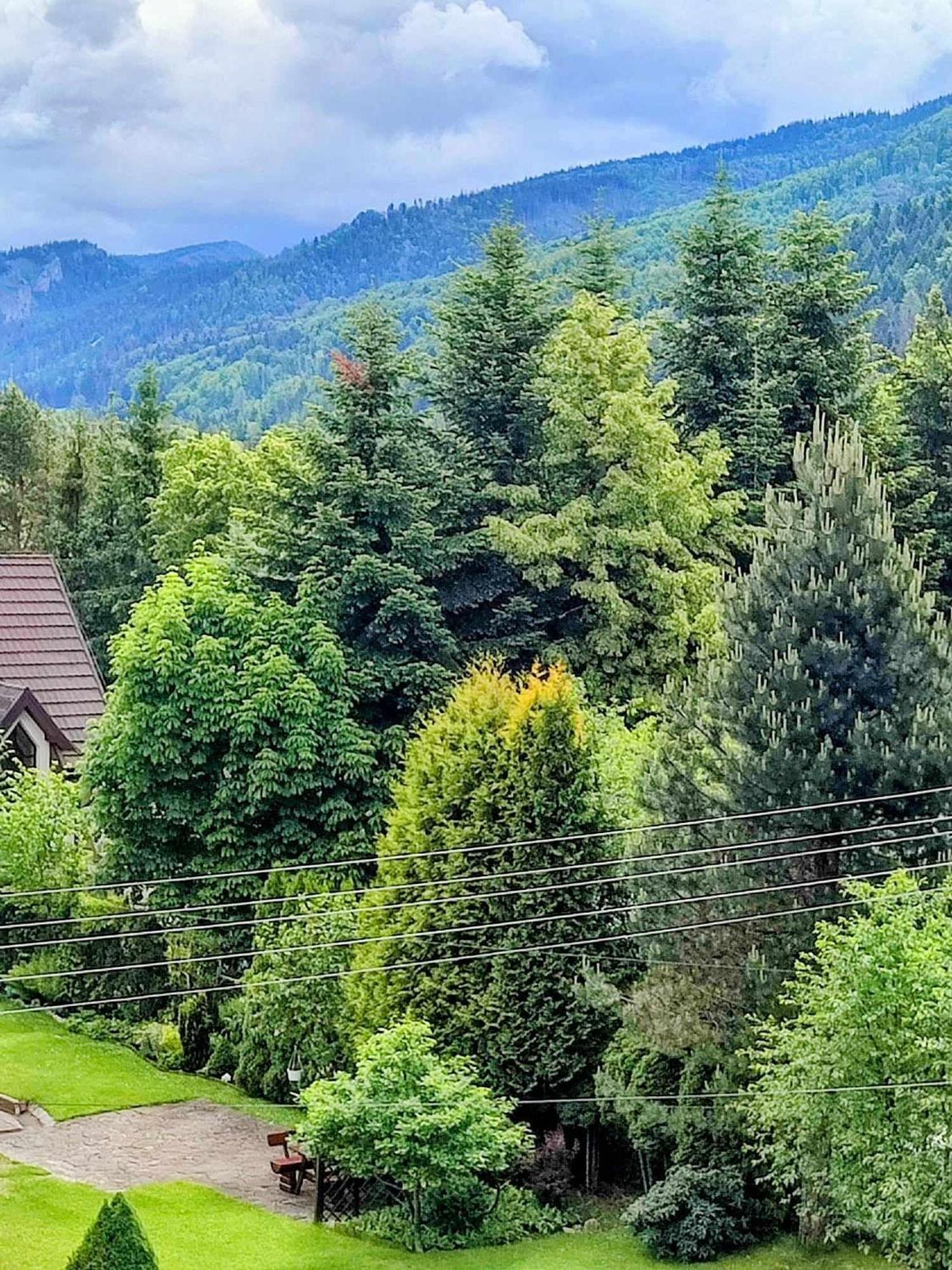 Dom Lesnik Apartment Zakopane Exterior foto