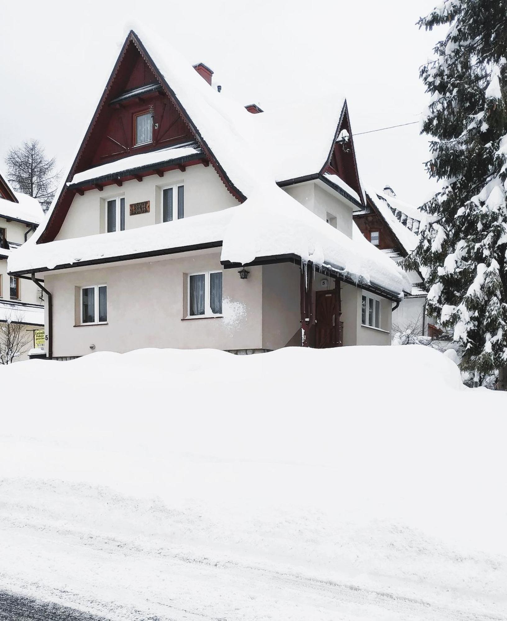 Dom Lesnik Apartment Zakopane Exterior foto